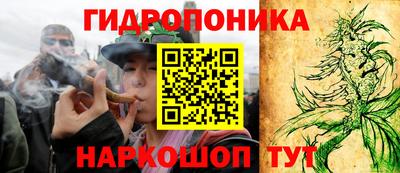 прущие крисы Коммунар