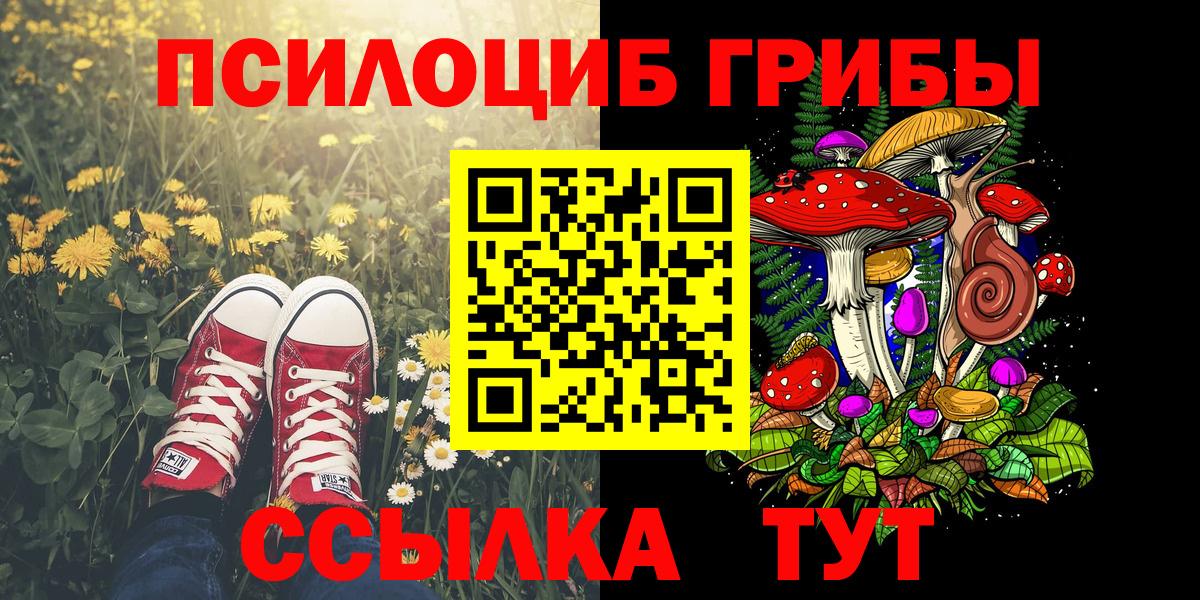 Псилоцибиновые грибы Magic Shrooms  продажа наркотиков  Галлюциногенные грибы мухоморы  Приморско-Ахтарск  Вход с VPN 