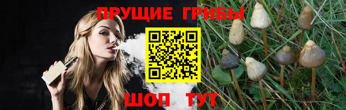 Галлюциногенные грибы GOLDEN TEACHER Приморско-Ахтарск
